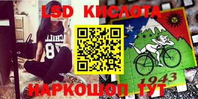 крисы Будённовск