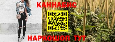 крисы Будённовск